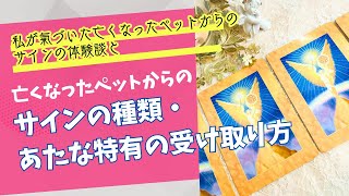 【亡くなったペットからのサインの受け取り方✨】私の体験談と最後に【あなた特有の受け取り方】をカードリーディングで知りましょう😇✨　＃ペットロス＃亡くなったペットサイン＃亡くなったペットからのメッセージ