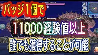 【DQチャンプ】時間がある方に必見‼︎バッジ1個で経験値を1万以上稼げるやり方を発見しました！【ドラクエチャンピオンズ】