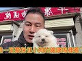 探访农村狗市 尽心尽力帮粉丝朋友挑选精品狗狗🐶 博美宝宝【天哥萌宠】