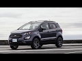 Newfoundland and the Ford EcoSport