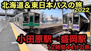 【北海道\u0026東日本パス】普通列車を乗り継いで小田原から盛岡へ 12時間44分の旅【2022春 東北1】