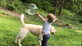 Stella Causes Bubble Trouble