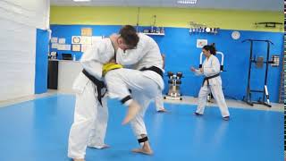 Academy karate Oku-Den applicazione di bassai dai