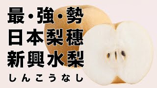 日本契約農家直送｜鳥取縣日本梨穗新興水梨大果