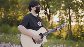 枫叶城翻弹Chinese style fingerstyle Maple Leaf City cover by Nico