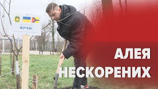 🌳ДЕРЕВА ПЕРЕМОГИ: на честь міст-героїв російсько-української війни висадили дуби