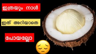 ഇത്രയും നാൾ ഇത് വേസ്റ്റ് ആക്കി കളഞ്ഞല്ലോ 😒😒😒😒😒 coconut milk shake