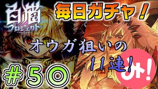 【白猫プロジェクト】第50回 毎日ガチャ！5000万DL記念ガチャ11連！