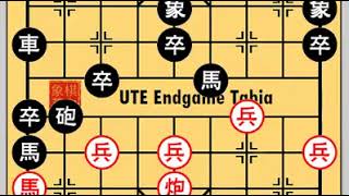 Xiangqi (Chinese Chess) 2004 aleague C77 趙國榮 Zhao Guorong W 胡慶陽 Hu Qingyang