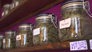 Alpine Wellness - A Colorado Recreational Marijuana Shop