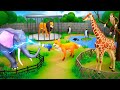 Funny Animals Zoo - Witchy Fox's Animals Transformation Comedy | Lion Monkey Elephant Giraffe