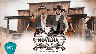 Davi e Fernando - Lote De Novilhas (Clipe Oficial)