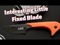 Affordable Fixed Blade Le Duck Knife Review