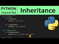 Python Tutorial #41 - Inheritance in Python Programming for Beginners