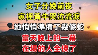 女子分娩前夜，家裡黃牛哭泣流淚，她悄悄準備了幾條蛇，當天晚上的一幕，在場的人全傻了 #故事#民間故事#閒時花開#幸福人生#花開富貴