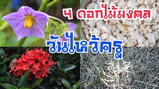 4 ดอกไม้มงมล วันไหว้ครู | DIY ง่ายนิดเดียว