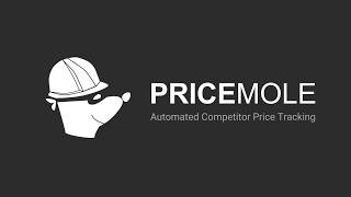 Advanced Price Strategies - Adding Adjustments - Competitor Price Monitoring Tracking