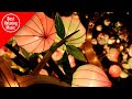 Guzheng Instrumental - Chinese Traditional Music