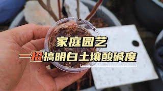 不要買儀器了，簡單一招搞明白土壤酸鹼度，省錢又好用