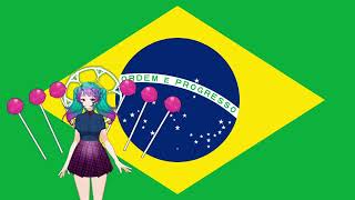 Fun Facts About The Brazilian Flag