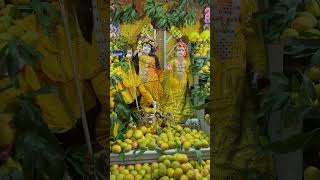 Celebrating Mango festival with Radhe Shyam