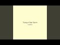 Tranquil Star Storm