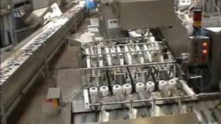 Vision System Pisces Fish Machinery