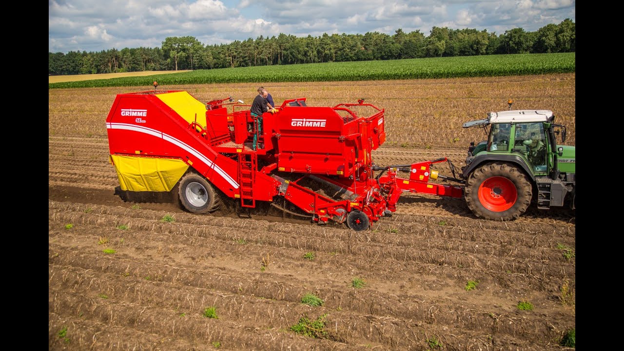 GRIMME SE 260 | 2-row Potato Harvester With Standard Bunker And ...