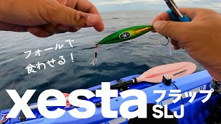 ツイてない男が2022年新発売のゼスタ(Xesta) フラップ SLJをインプレ！2馬力ミニボート釣行【後編】