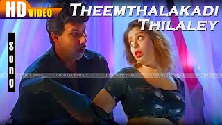 தீம்தலக்கடி தில்லாலே || Theemthalakadi Thilale || Villathi Villain Songs || Sathyaraj || Nagma |HD