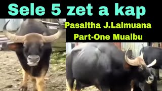 Sele 5 a kap:Pasaltha J.Lalmuana Part-One Mualbu (L) Lawngtlai Dist.