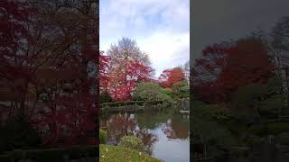 20231124 日本東北山形紅葉公園