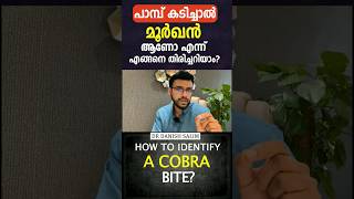 പാമ്പു കടിച്ചാൽ മൂർഖൻ ആണോ ഇനി എങ്ങനെ തിരിച്ചറിയാം ? I How to identify a Cobra Bite?