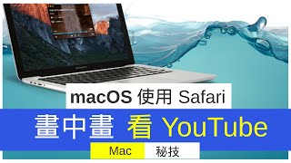 【心得】在 macOS 使用 Safari 畫中畫功能看 YouTube