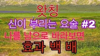 왓칭/ 신이 부리는 요술 #2, 나를 남으로 바라보면 효과 백 배