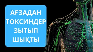 Лимфа жүйесін тазалау. Артық салмақ пен ТОКСИНДЕРден тез арылу ТОП 5 жолы