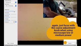 How To Use The Proscope Camera & Microscope