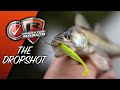 PREDATOR BASICS #3 | How to fish the Dropshot For Perch and Zander | Lure fishing made easy!