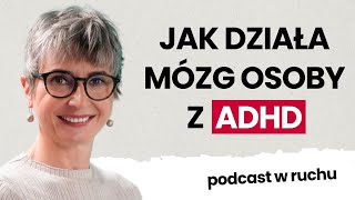 ADHD z perspektywy lekarza | dr n. med. Kajetana Foryciarz