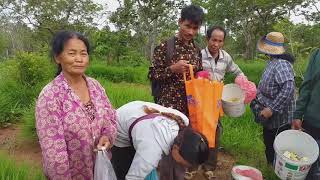 ពលរដ្ឋបេះផ្សិតក្នុងព្រៃសង្ឃរុក្ខាវ័ន