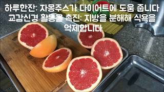 상큼새콤 쌉사름한 자몽주스[보물튜브]