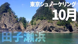 ＃３１田子瀬浜でシュノーケリング（2016年10月）【東京シュノーケリング】