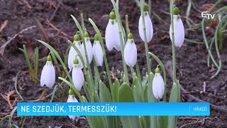 Ne szedjük, termesszük! – Erdélyi Magyar Televízió