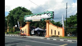 Pasar Satwa dan Tanaman Terbesar di Yogyakarta | Keliling Sampai Gempor di PASTY