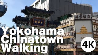 [4K] Yokohama Chinatown Walking by OSMO POCKET in Japan - 横浜中華街お散歩