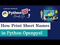 Python Openpyxl: How to Print Sheet Names Using Openpyxl library in Python