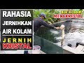 CARA MENJERNIHKAN AIR KOLAM IKAN‼️Air Kolam Super Jernih⁉️