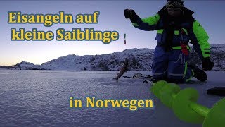 Eisangeln auf kleine Saiblinge in Norwegen