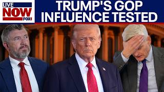 GOP primaries: Key races test Trump's influence ahead of midterm elections