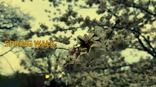 Spring Walk Through Toronto 🌱 | Trinity Bellwoods & Queen St